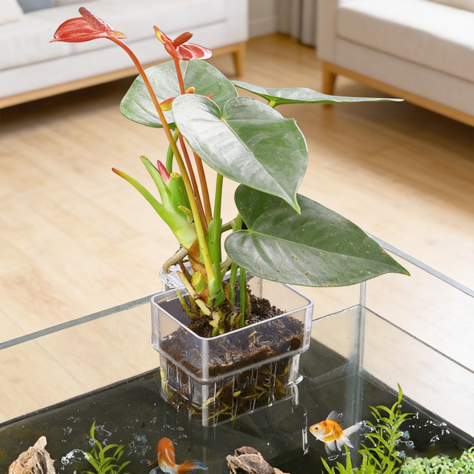 Aquarium Plant Holder - Aquarium Plant Basket Transparent Fish Tank
