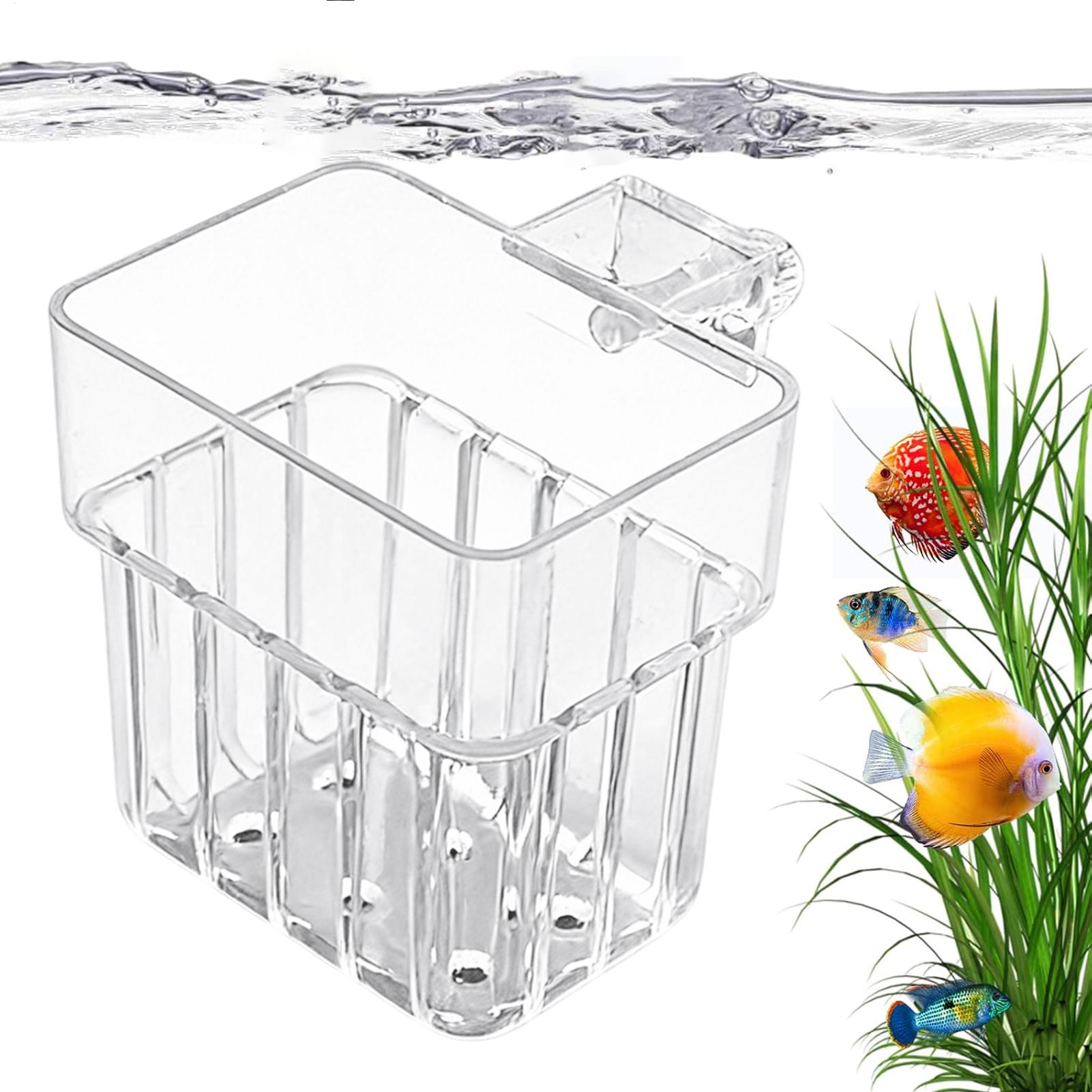 Transparent Hangable Aquarium  - Aquarium Plant Holder ulasan dan harga