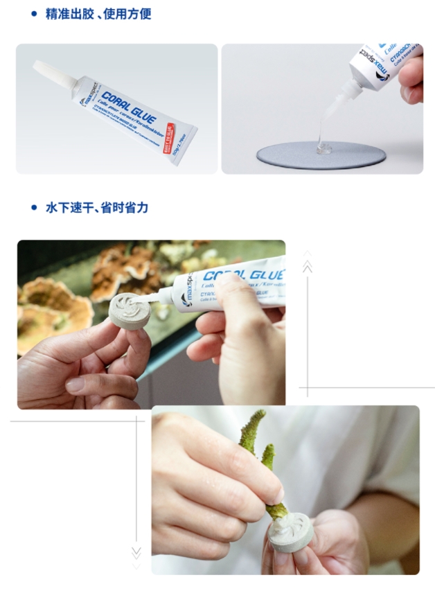 Aquarium Instant Coral Glue 20 - Aquarium Plant Glue Gel ulasan dan harga