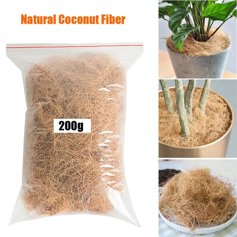 Natural Coconut Husk Fiber Flo - Tissue Culture Plant ulasan dan harga