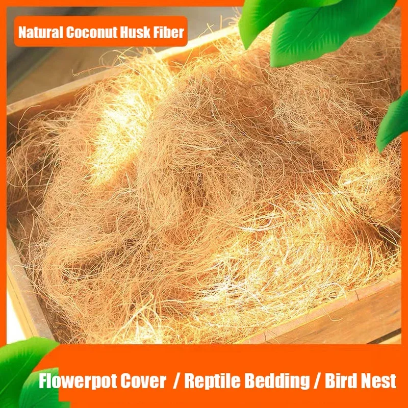 Natural Coconut Husk Fiber Flo - Tissue Culture Plant ulasan dan harga