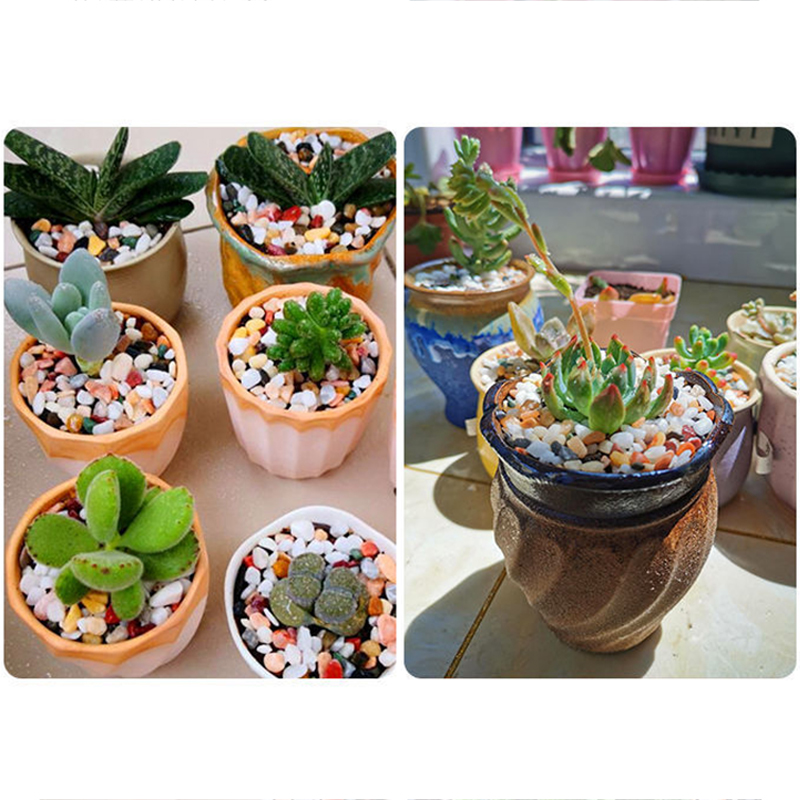 5mm Natural Aquarium Sand 200g - Planted Aquarium With Sand ulasan dan harga