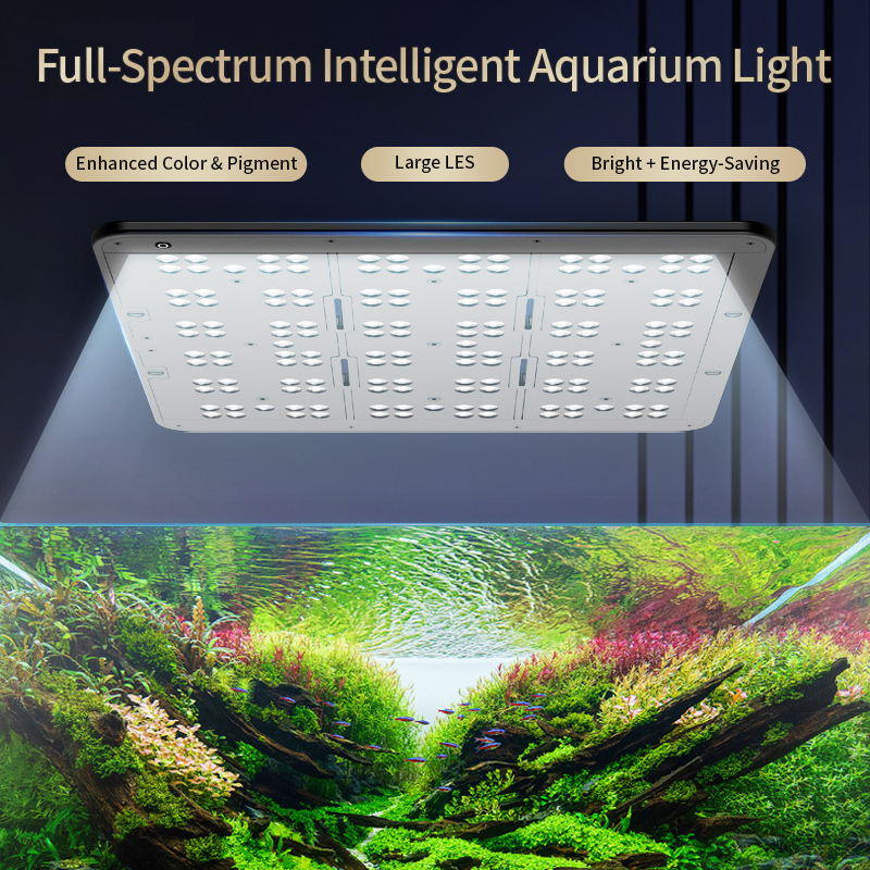 4 in 1 Aquarium Cleaning Kit F - Planted Aquarium Cleaning Kit ulasan dan harga