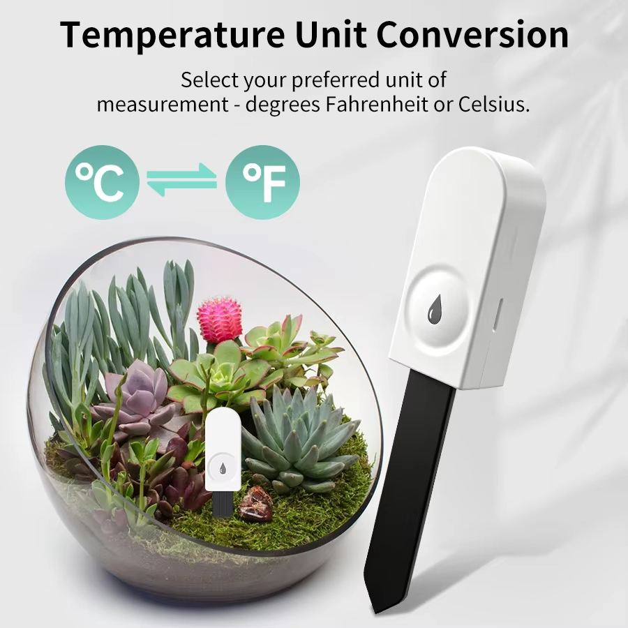 Multi‑function Zigbee Soil Tes - Tissue Culture Plant ulasan dan harga