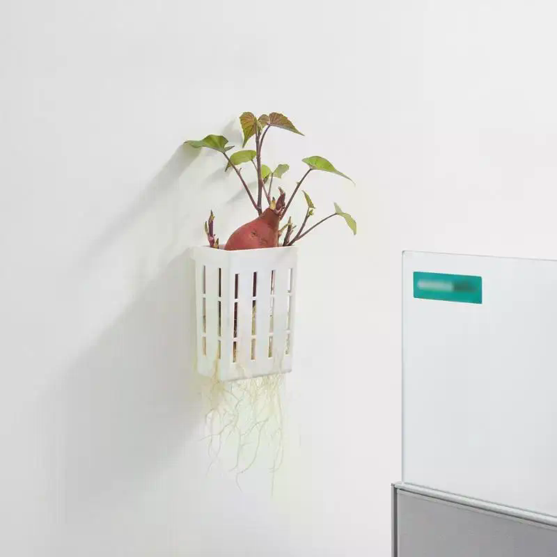 1Pcs Hydroponic Support Basket - Aquarium Plant Holder ulasan dan harga