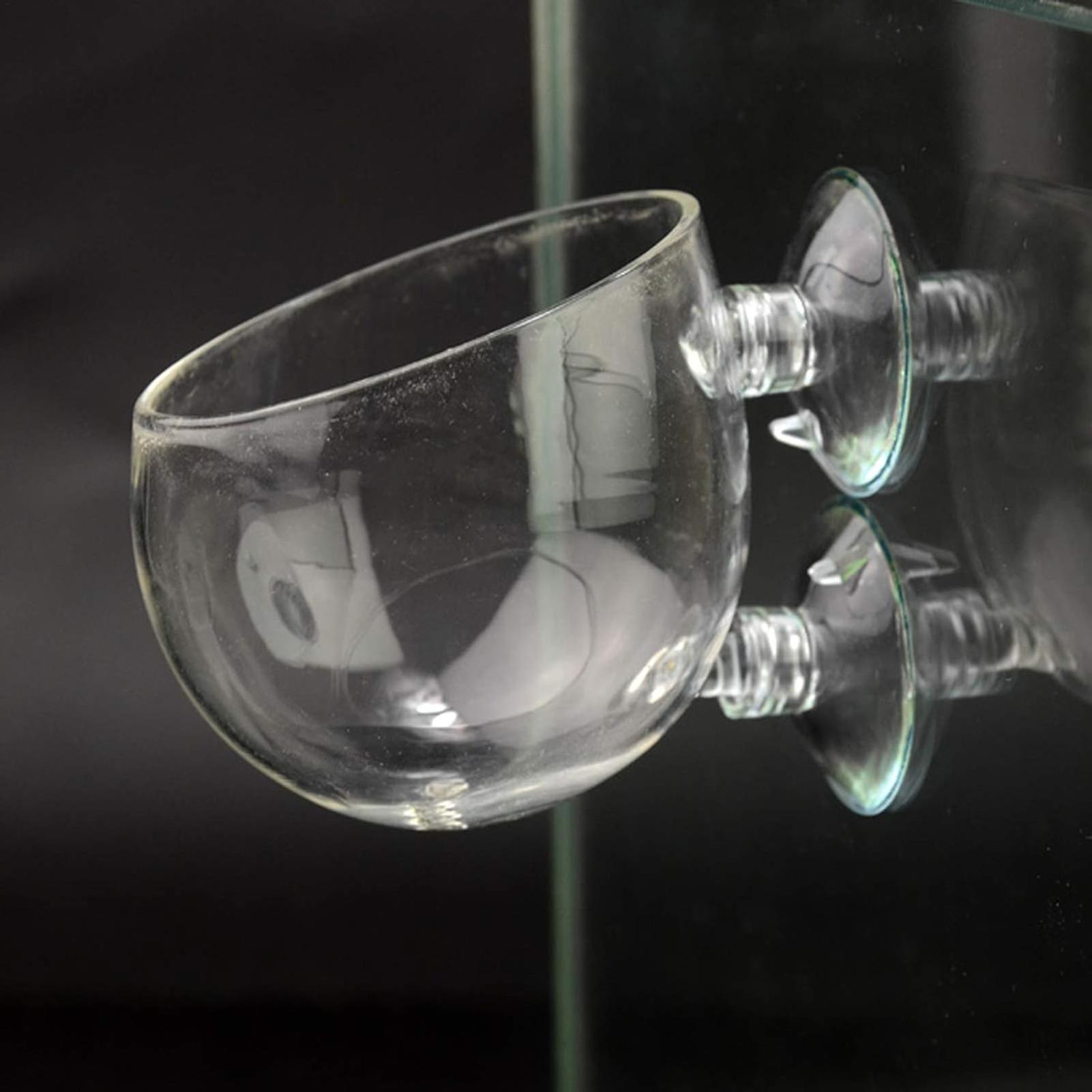 Aquarium Plant Holder Glass Aq - Aquarium Plant Holder ulasan dan harga