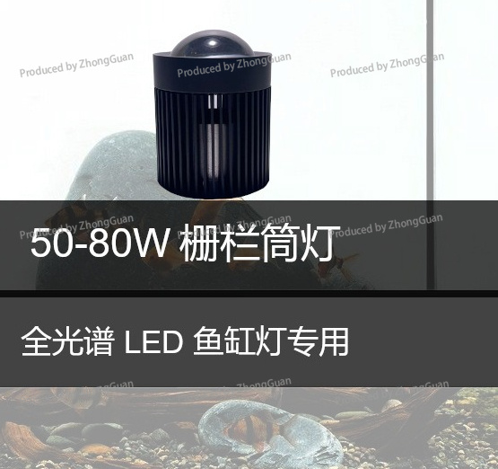 Led Downlight Moss Plant Grow  - Aquarium Planted Wood ulasan dan harga