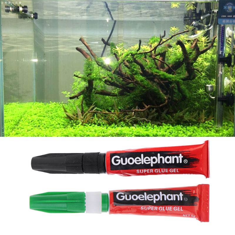 Aquarium Moss 5g Gel Instant D - Aquarium Plant Glue Gel ulasan dan harga