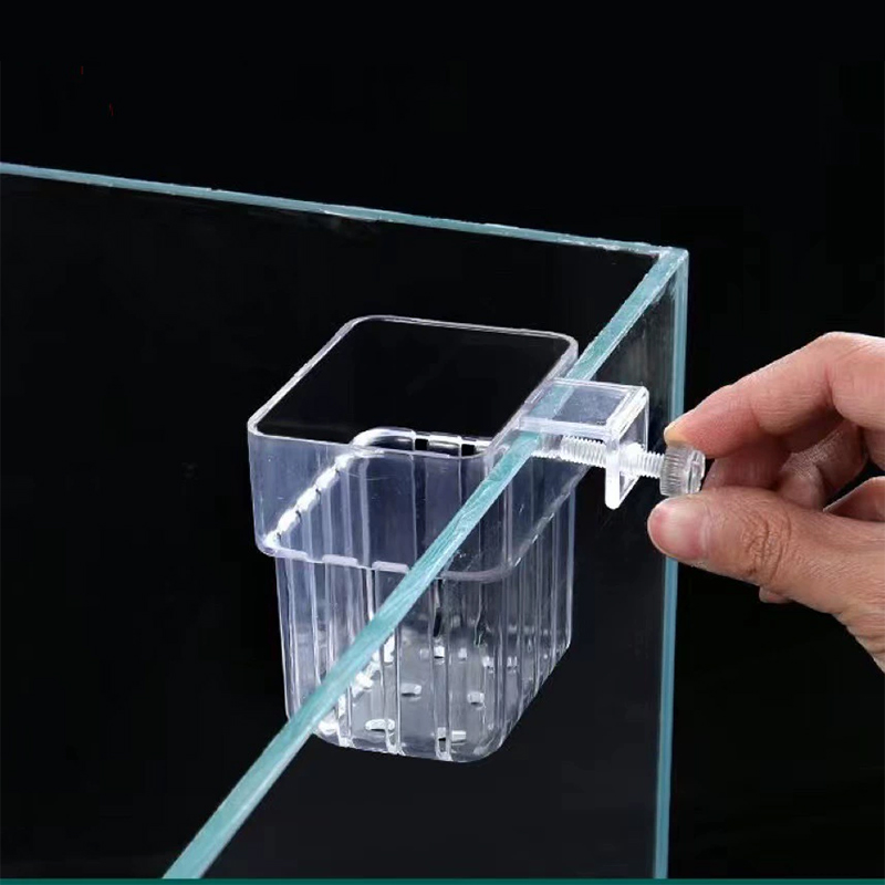 1PC Single Claw Hook Soil Loos - Tissue Culture Plant ulasan dan harga