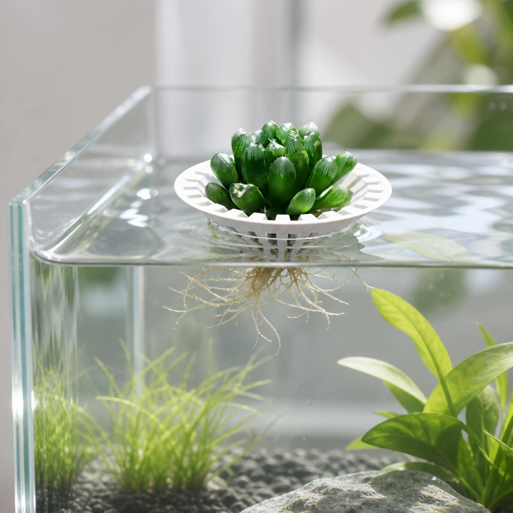 Aquarium Hydroponic Planter 3d - Aquarium Plant Holder ulasan dan harga