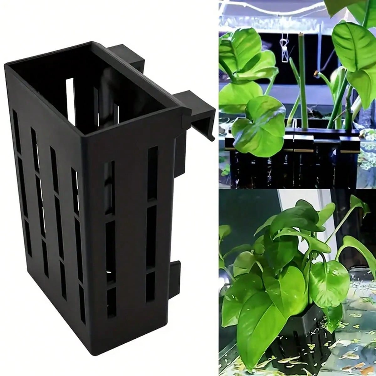 Aquarium Plant Holder Black Pl - Aquarium Plant Glue Gel ulasan dan harga