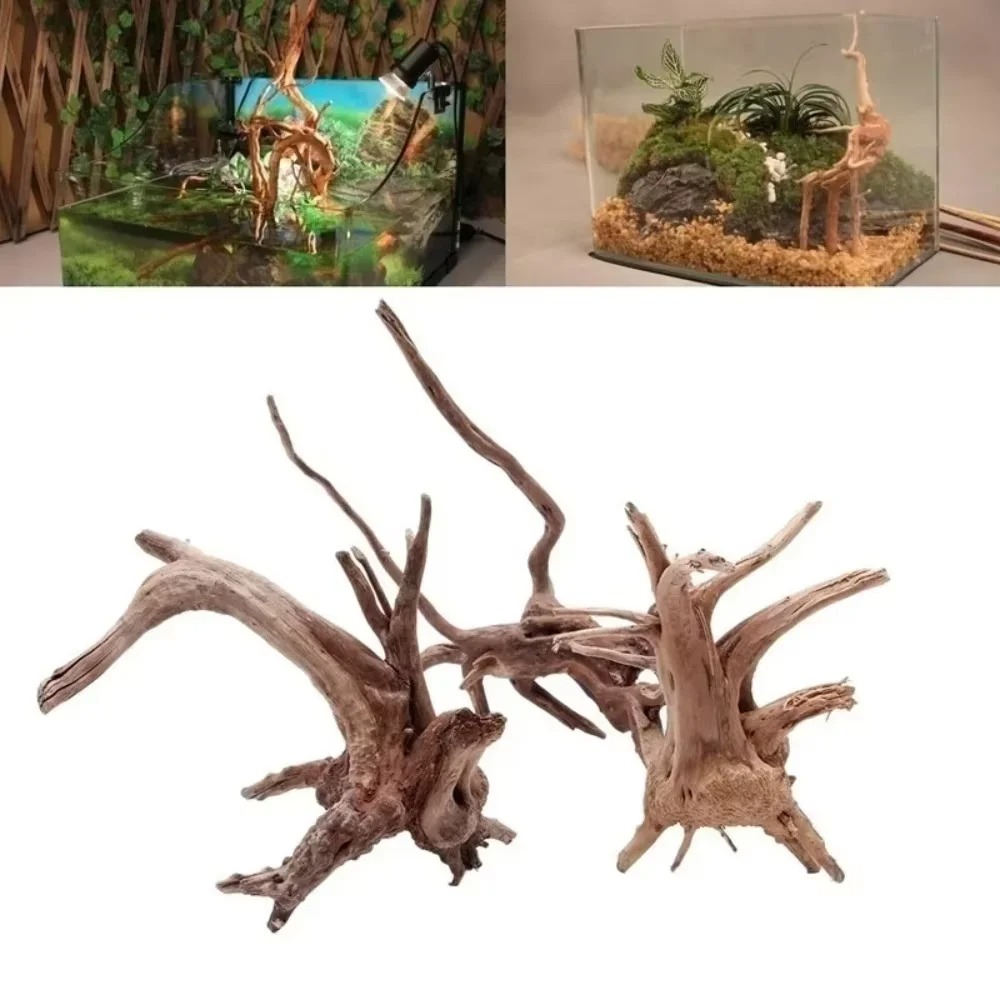 15-20CM Natural Driftwood Aqua - Aquarium Planted Wood ulasan dan harga