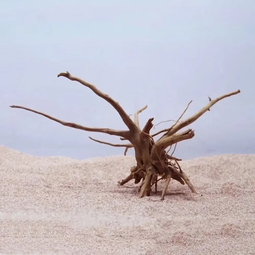 15-20CM Natural Driftwood Aqua - Aquarium Planted Wood ulasan dan harga