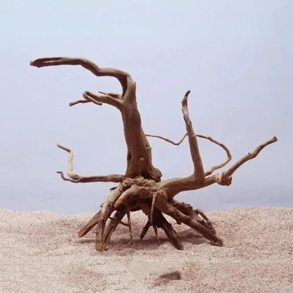 15-20CM Natural Driftwood Aqua - Aquarium Planted Wood ulasan dan harga