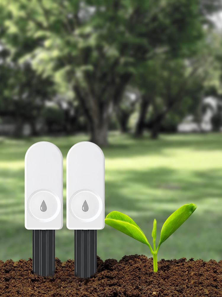 ZigBee Soil Moisture Meter for - Tissue Culture Plant ulasan dan harga