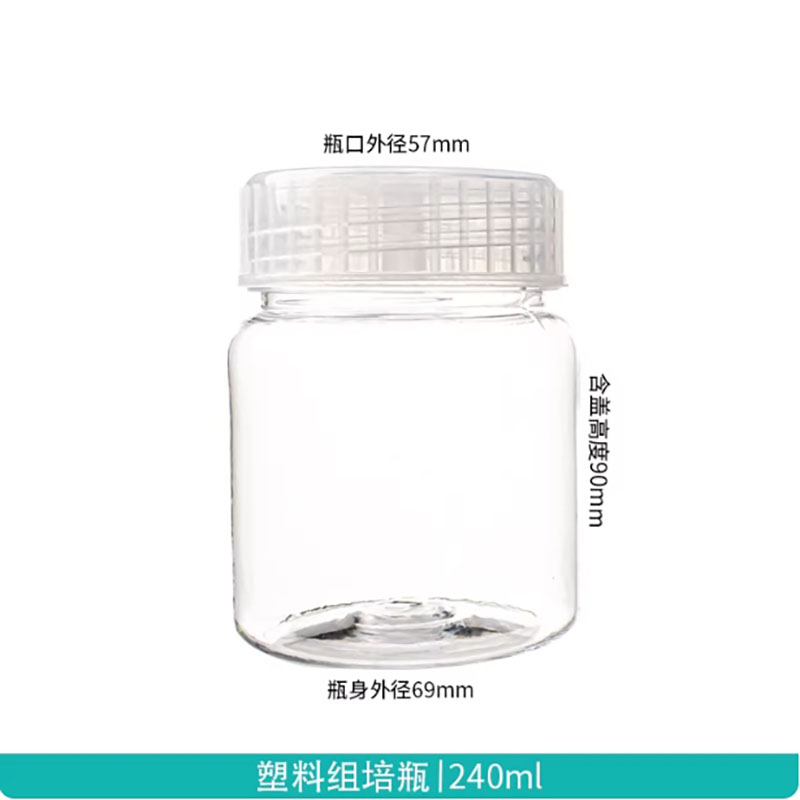 10pcs Plastic tissue culture b - Tissue Culture Plant ulasan dan harga
