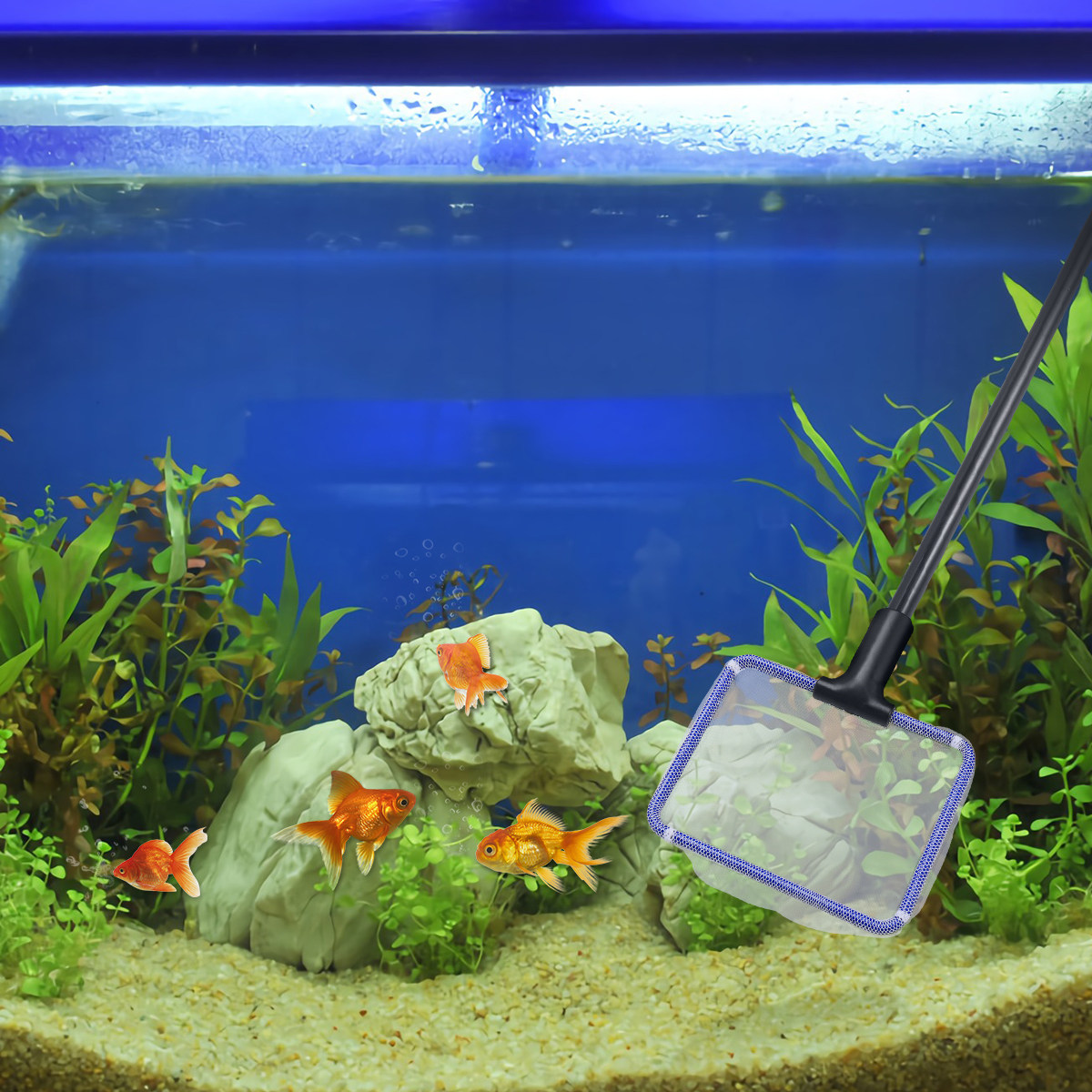5 in 1 Aquarium Fish Tank Clea - Planted Aquarium Cleaning Kit ulasan dan harga
