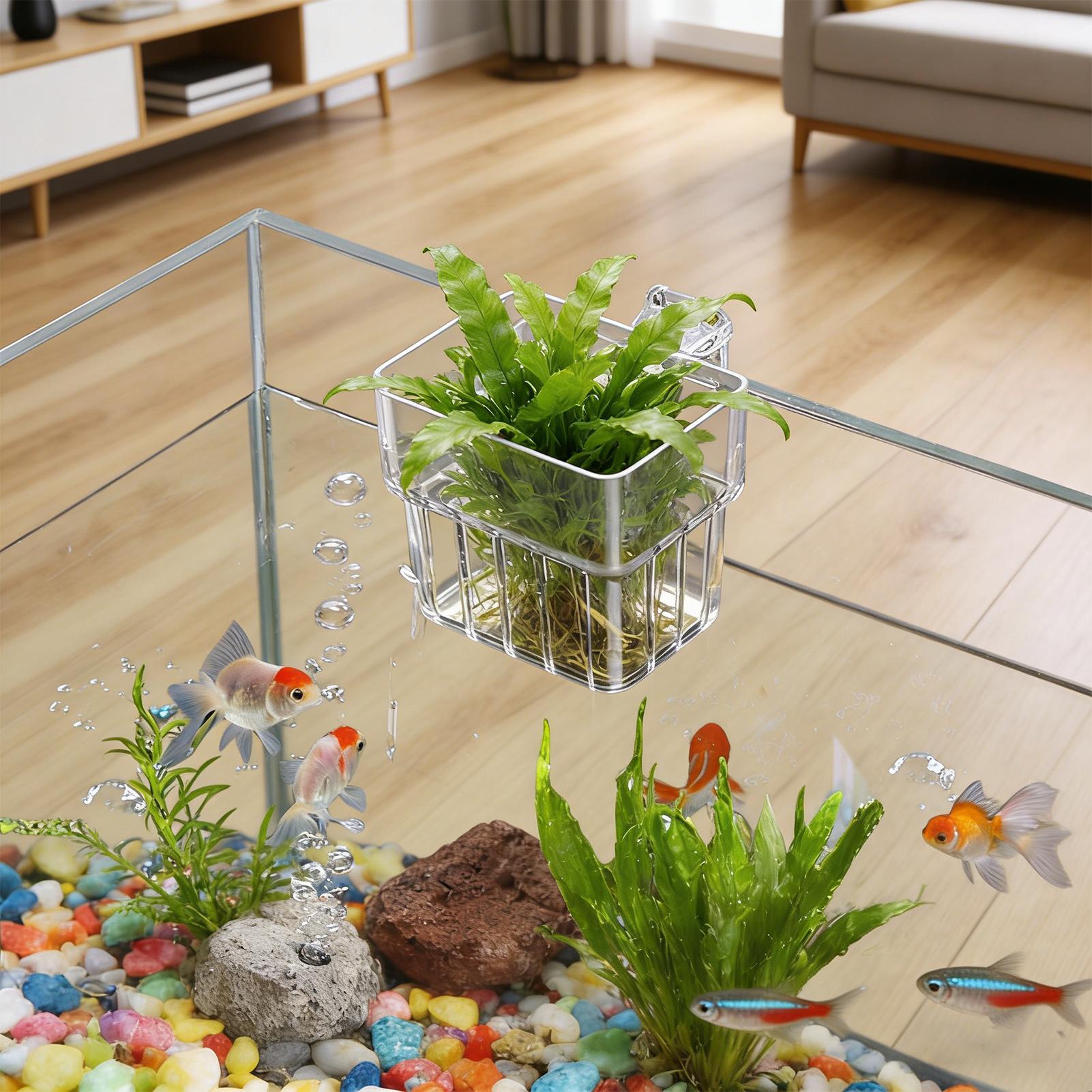 Fish Tank Fixed Basket Wall mo - Aquarium Plant Holder ulasan dan harga