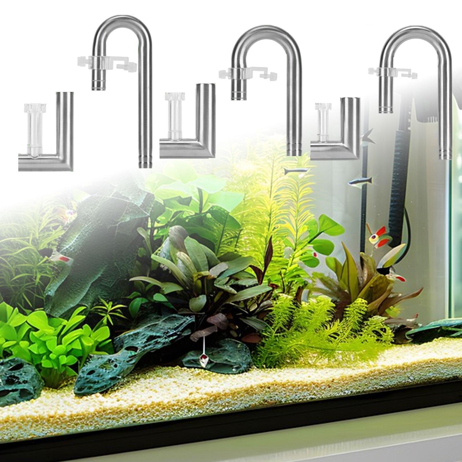 Aquarium Lily Tube Planted Aqu - Planted Aquarium Youtube ulasan dan harga