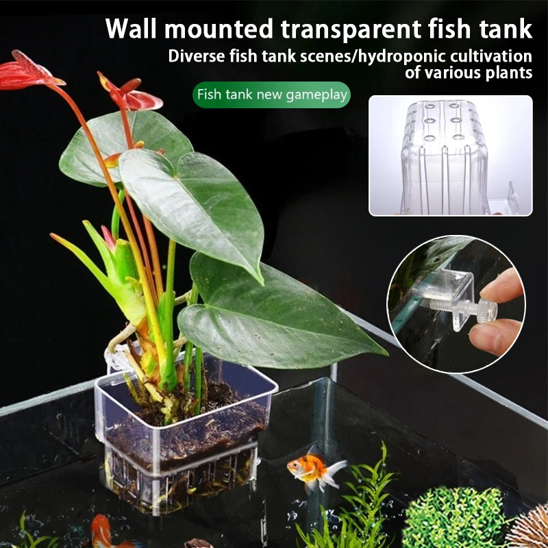 Aquarium Hanging Planter Cups  - Aquarium Plant Holder ulasan dan harga