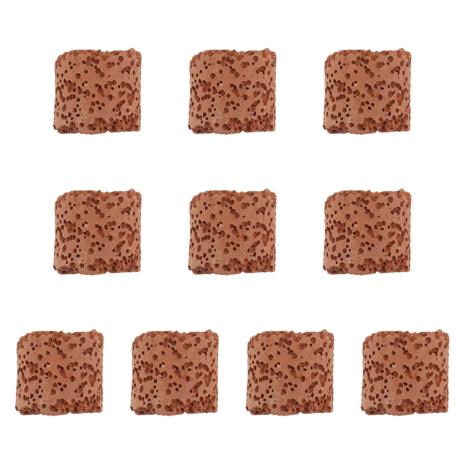 10Pcs Plant Ring for Aquarium  - Aquarium Plant Holder ulasan dan harga