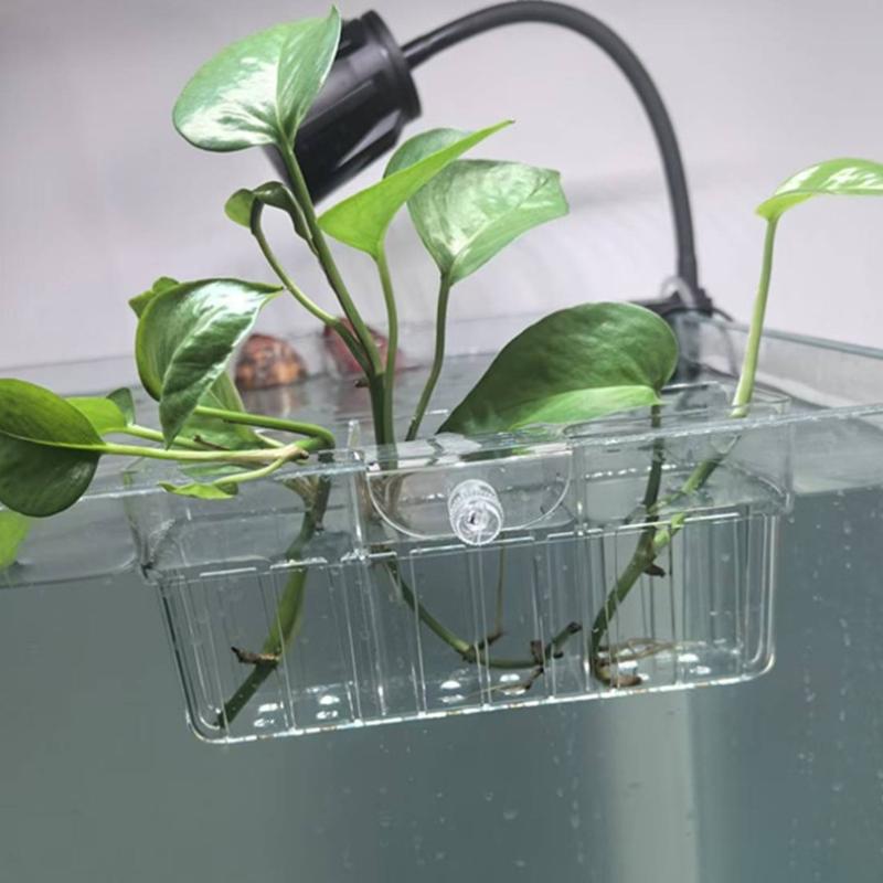 Hydroponic Plant Basket Food G - Aquarium Plant Holder ulasan dan harga