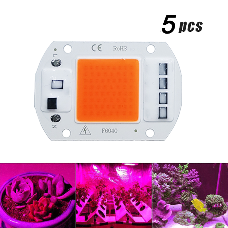 5Pcs LED Grow COB Light Chip F - Led Planted Tank Light ulasan dan harga