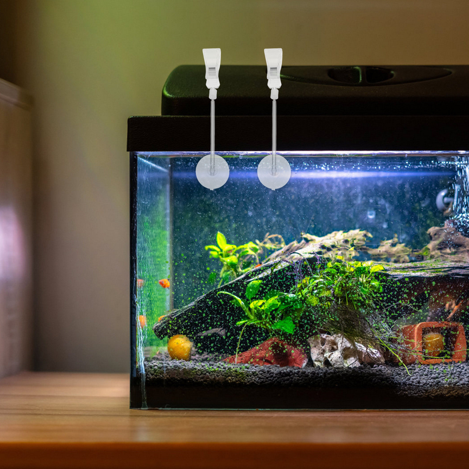 3 pcs Aquarium Fish Tank Hallo - Aquarium Plant Holder ulasan dan harga
