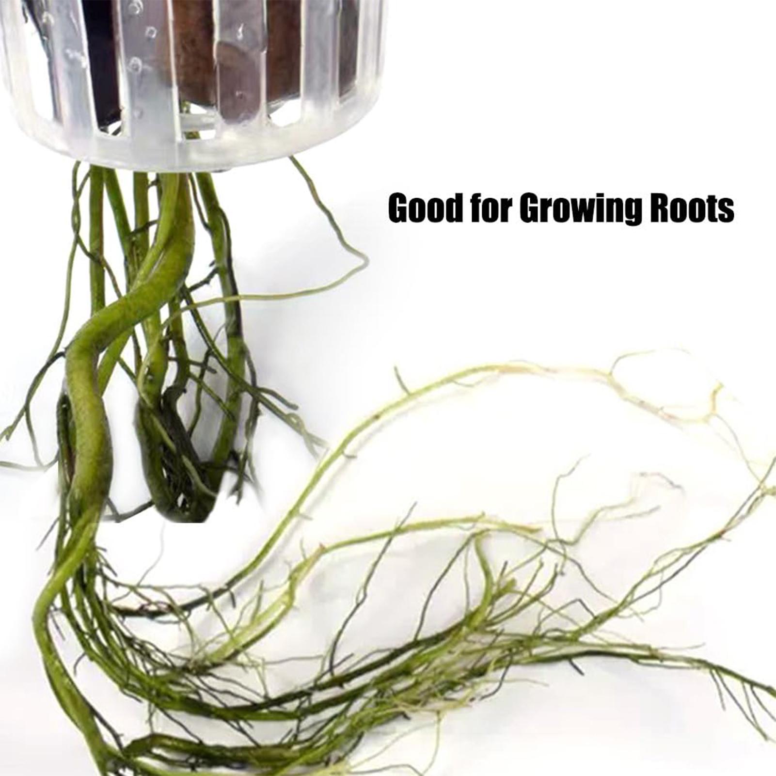 2PCS Hangable Aquatic Plant Ho - Aquarium Plant Holder ulasan dan harga