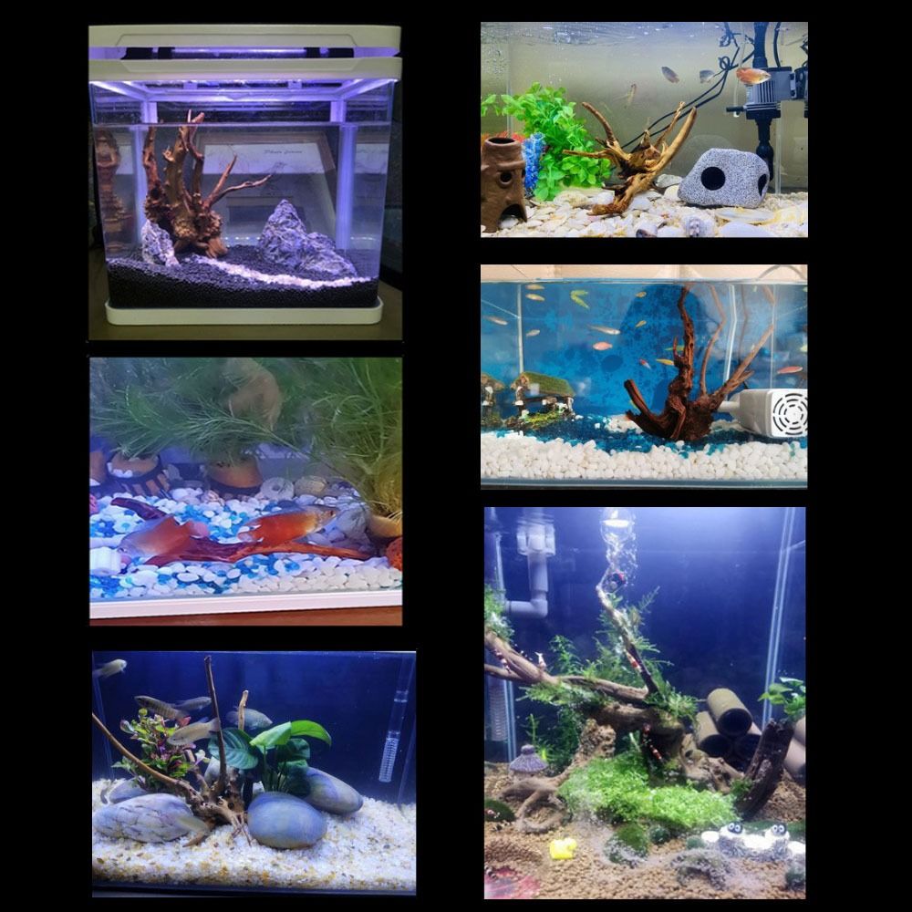 20-25CM Large Aquarium Driftwo - Aquarium Planted Wood ulasan dan harga