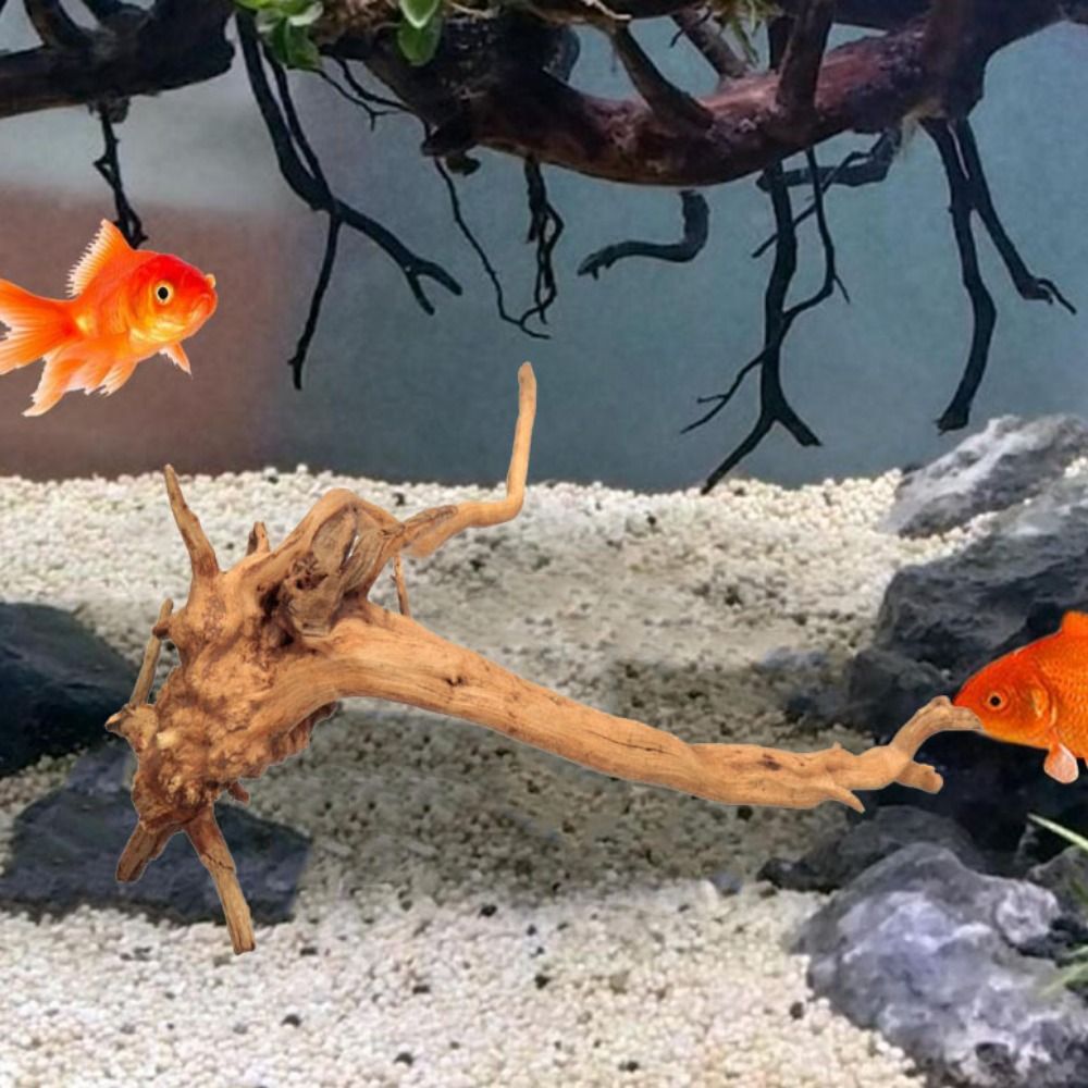 20-25CM Large Aquarium Driftwo - Aquarium Planted Wood ulasan dan harga