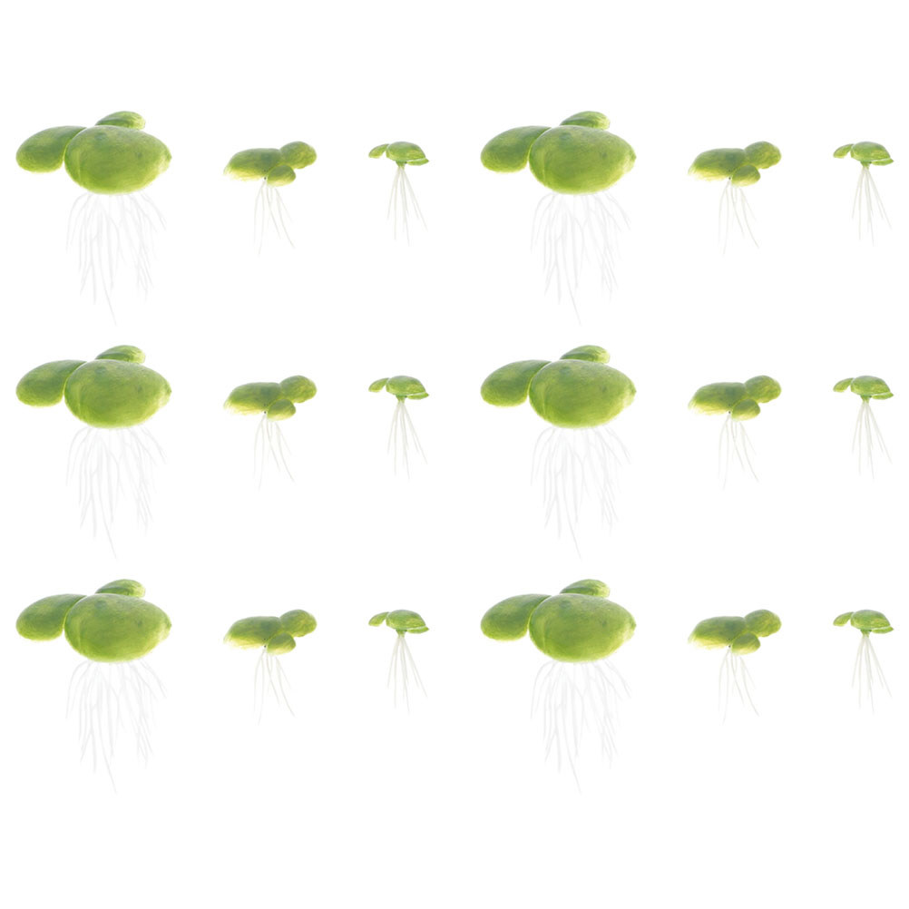 Artificial Duckweed Aquarium P - Planted Aquarium For Beginners ulasan dan harga