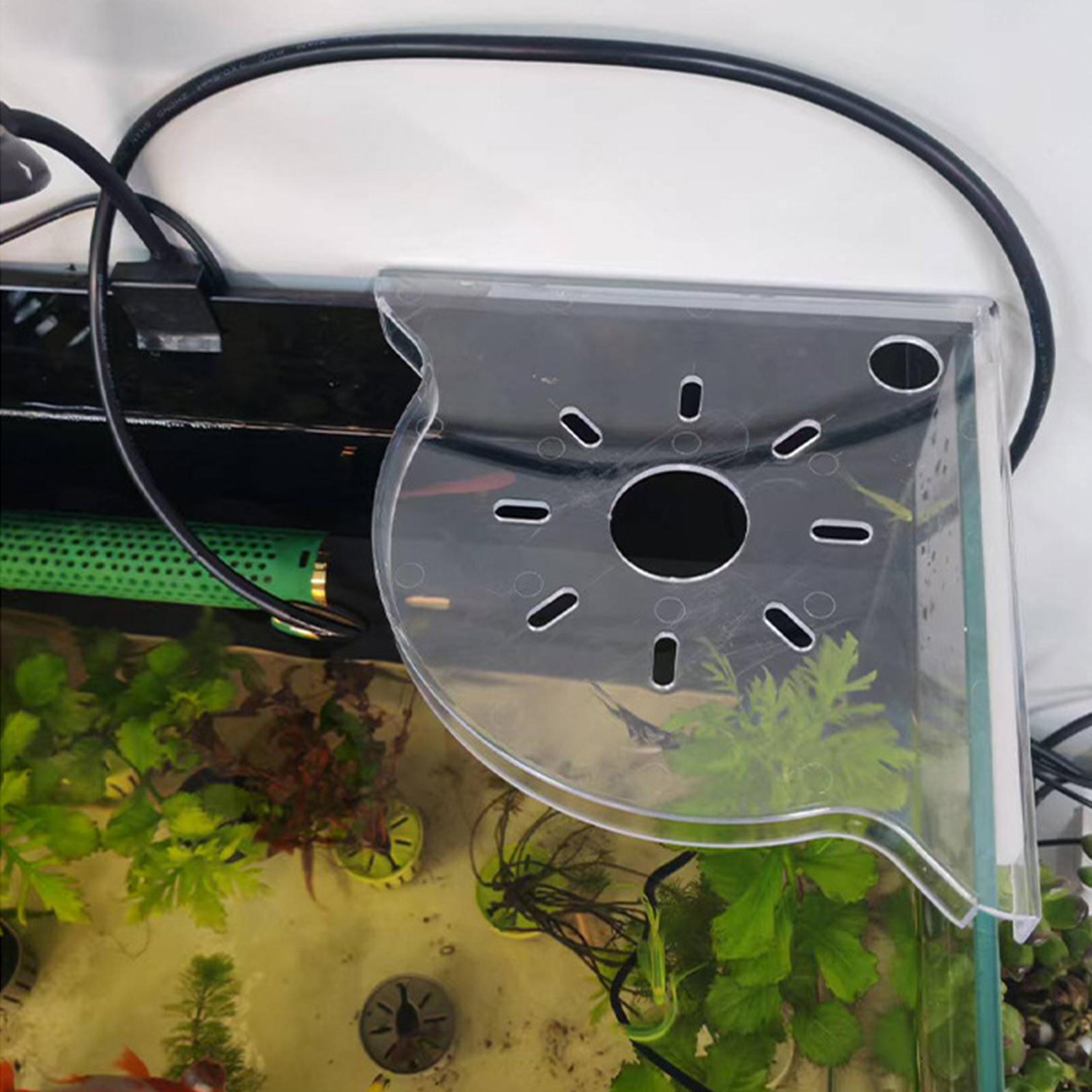 Triangle Fish Tank Corner Stor - Aquarium Plant Holder ulasan dan harga