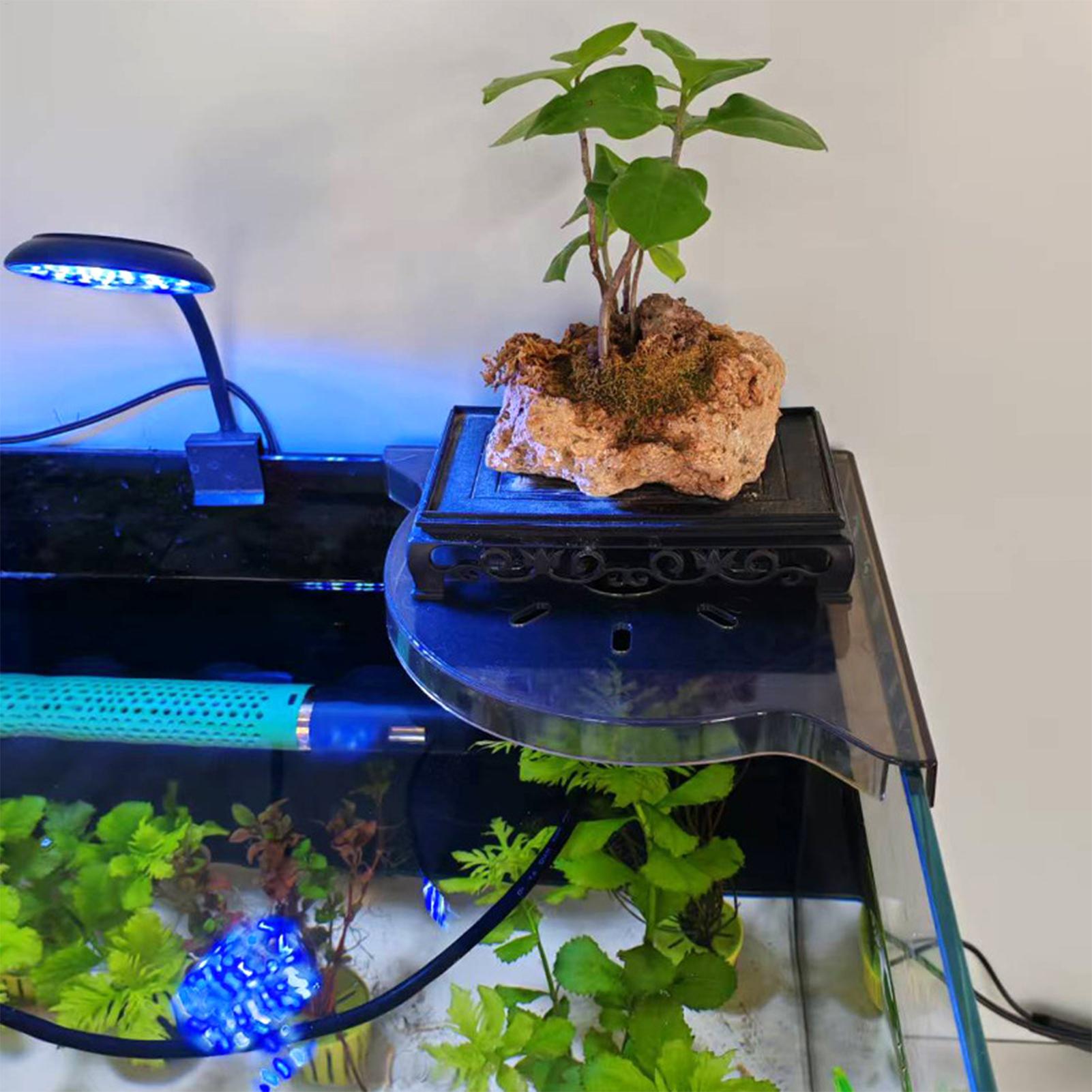 Triangle Fish Tank Corner Stor - Aquarium Plant Holder ulasan dan harga