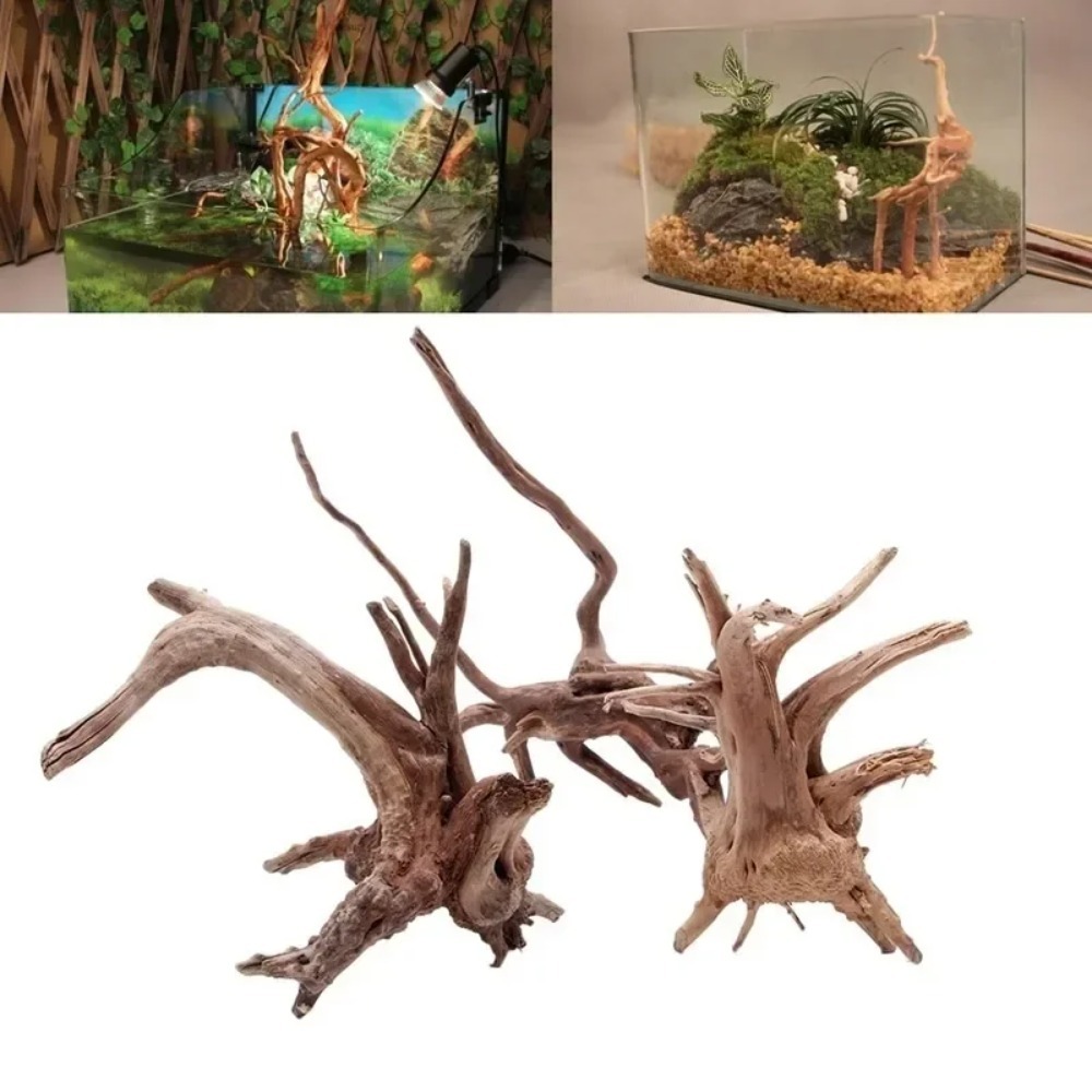 Natural Driftwood Aquarium Dec - Aquarium Planted Wood ulasan dan harga