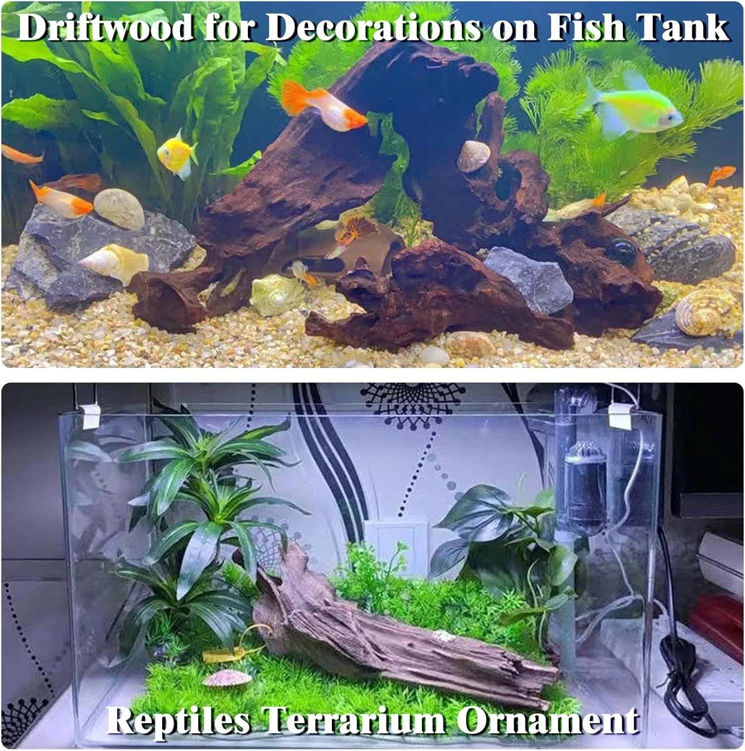 15-20CM 1Pc Natural Driftwood  - Aquarium Planted Wood ulasan dan harga