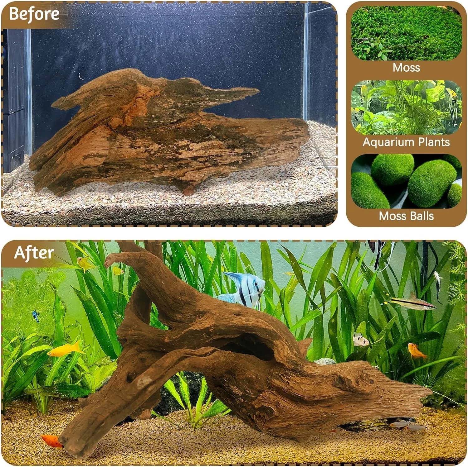 15-20CM 1Pc Natural Driftwood  - Aquarium Planted Wood ulasan dan harga