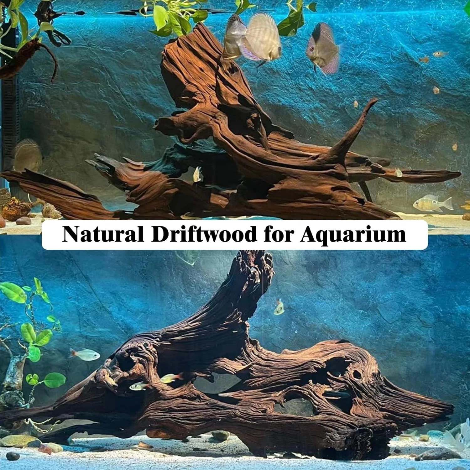 15-20CM 1Pc Natural Driftwood  - Aquarium Planted Wood ulasan dan harga