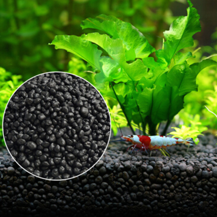 Aquarium Plant Seeds Soil Fish - Tissue Culture Plant ulasan dan harga