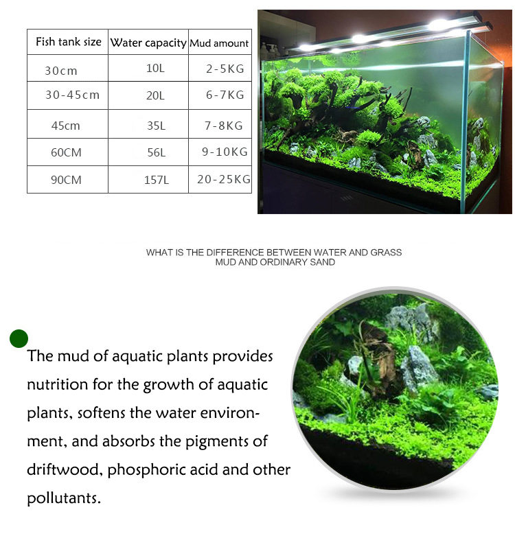 Aquarium Plant Seeds Soil Fish - Tissue Culture Plant ulasan dan harga