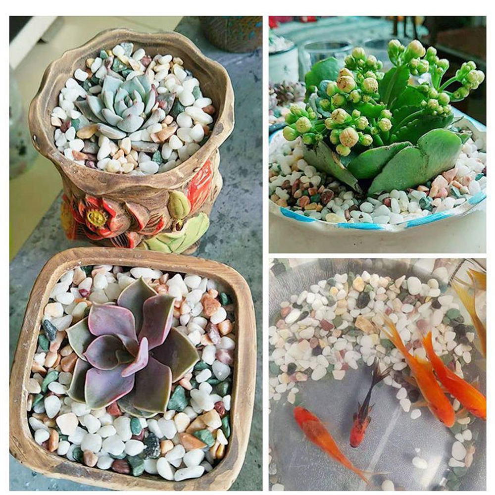 100g Natural Crystals Gravel S - Planted Aquarium With Sand ulasan dan harga
