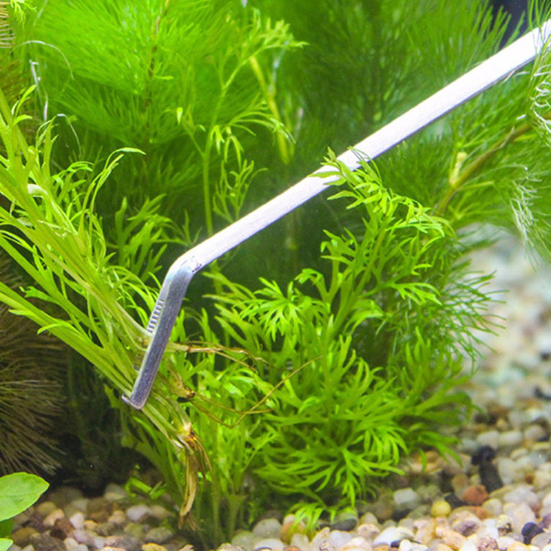 Professional Aquarium Maintena - Planted Aquarium Cleaning Kit ulasan dan harga