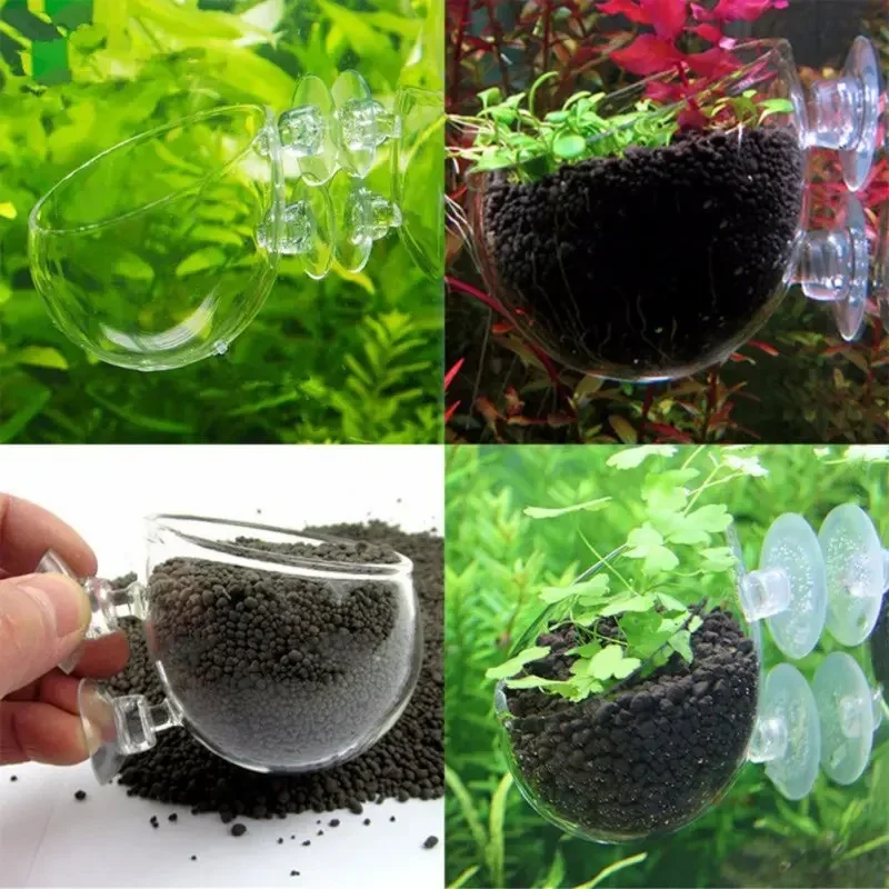 Clear Aquatic Plant Cup With S - Aquarium Plant Holder ulasan dan harga