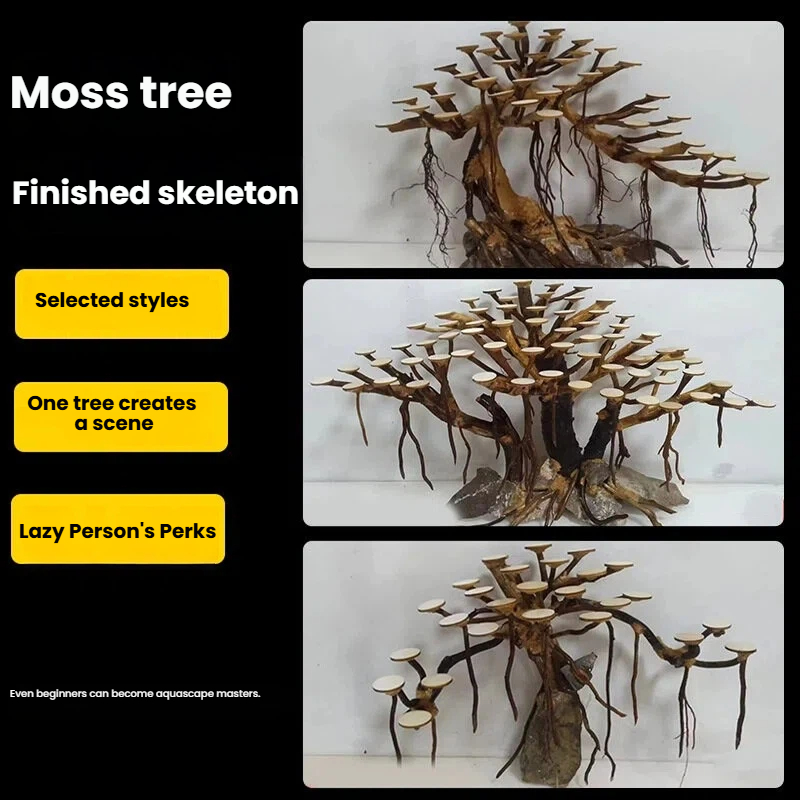Aquarium Landscaping Moss Tree - Aquarium Planted Wood ulasan dan harga
