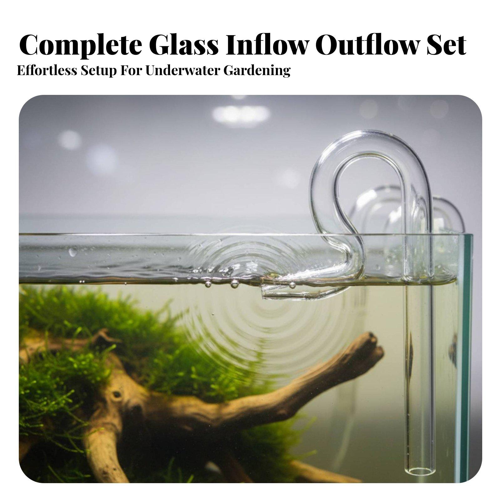 Planted Tank Glass Lily Pipe I - Planted Aquarium Youtube ulasan dan harga