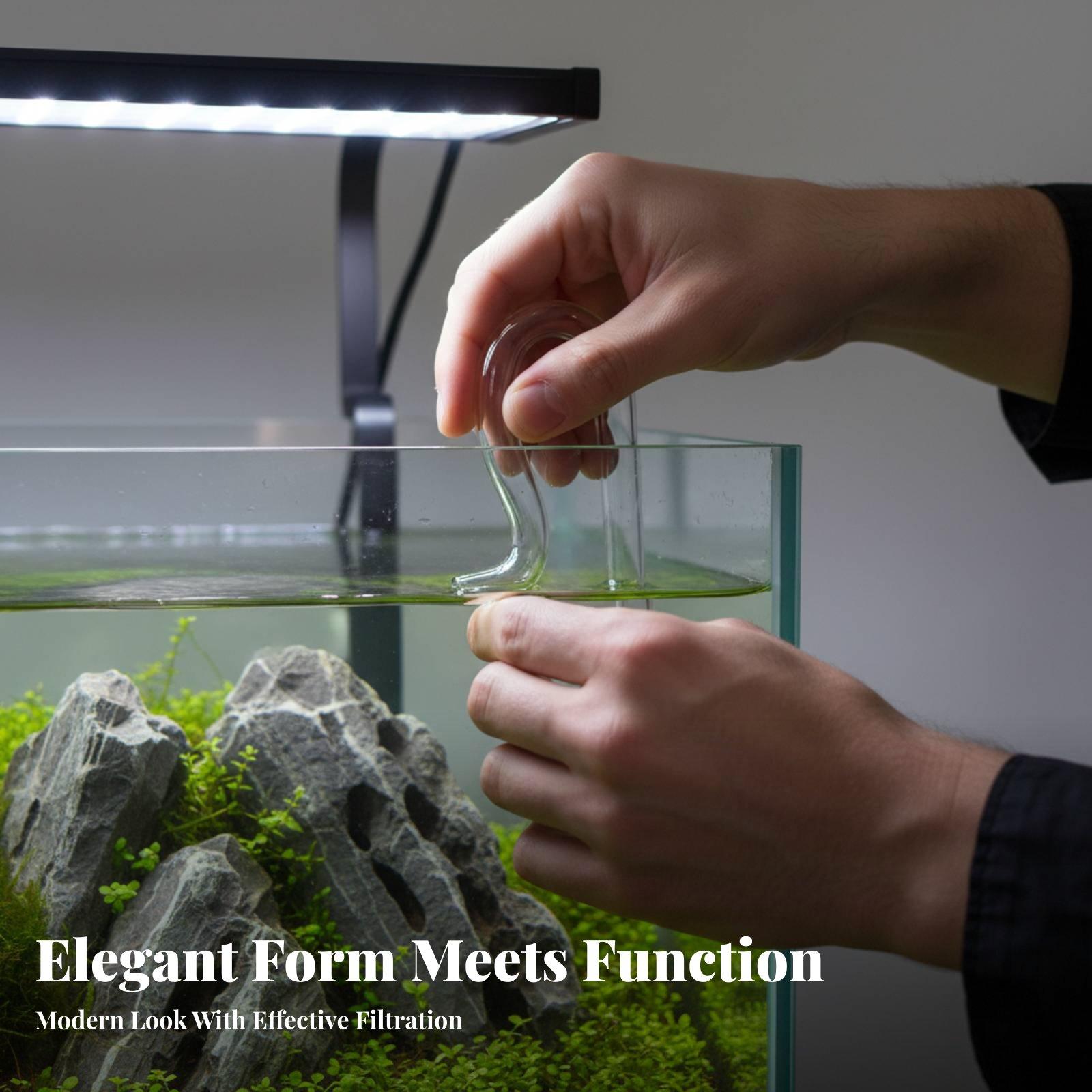 Planted Tank Glass Lily Pipe I - Planted Aquarium Youtube ulasan dan harga