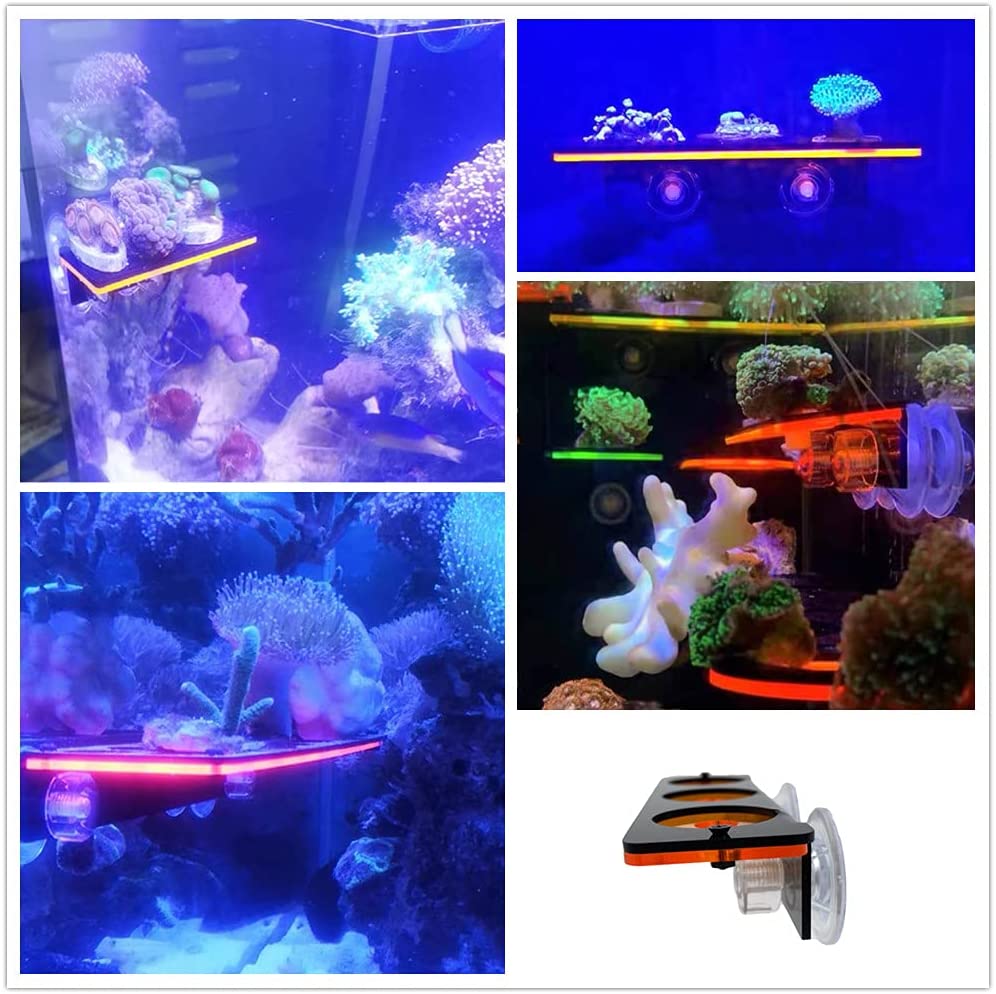 Fluorescent Coral Frag Plug Br - Aquarium Plant Holder ulasan dan harga