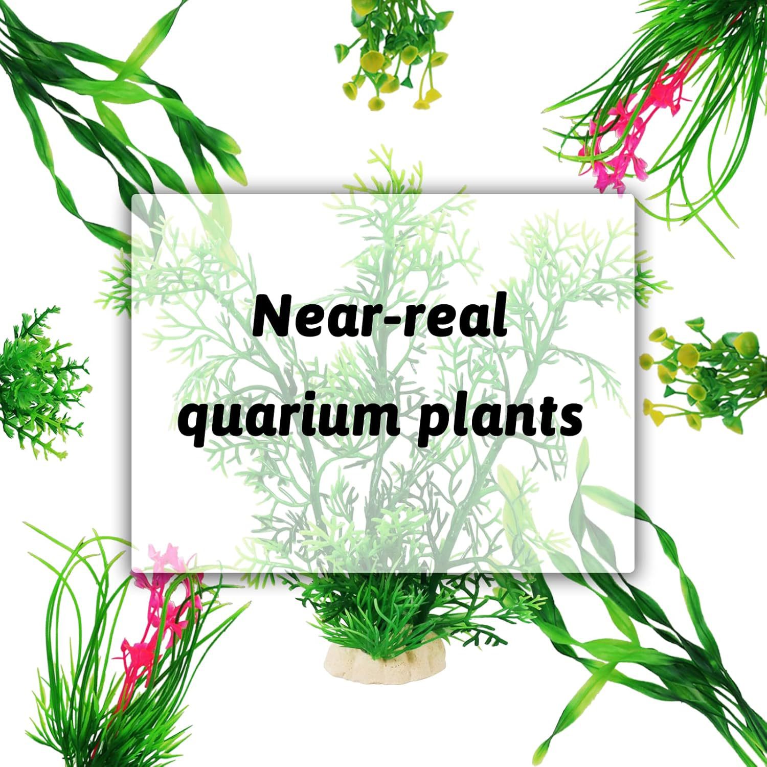 AT3 50W Full Spectrum LED Aqua - Planted Aquarium Algae ulasan dan harga
