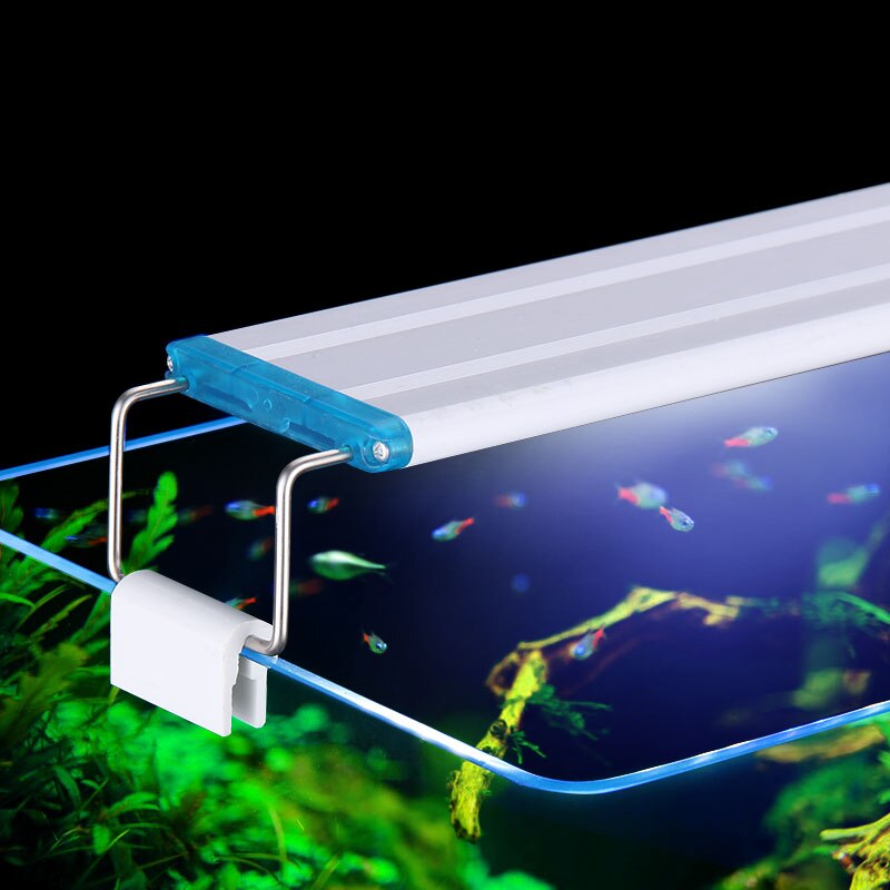 Extensible Waterproof Clip on  - Led Planted Tank Light ulasan dan harga