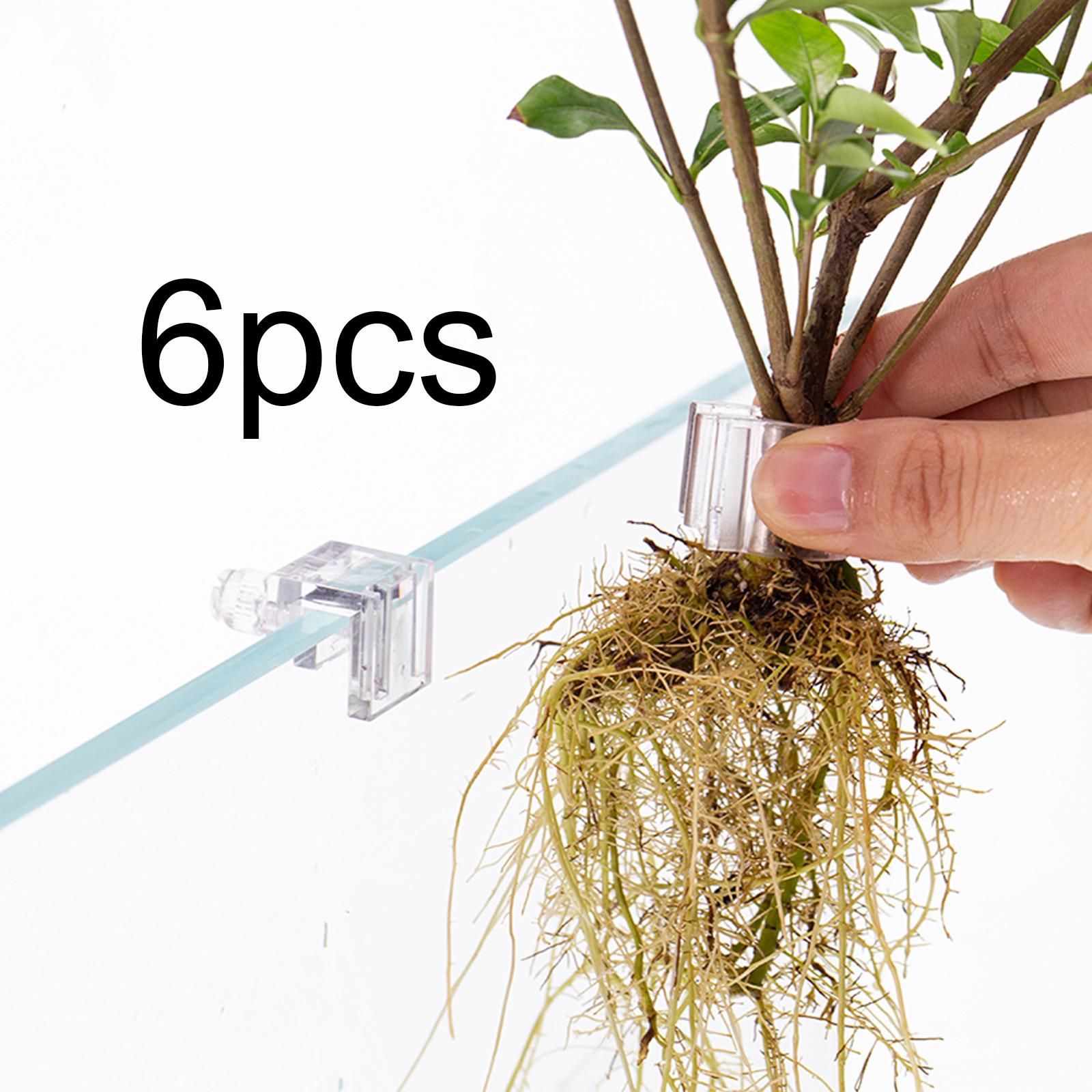 6 Pieces Aquarium Plant Holder - Aquarium Plant On Top ulasan dan harga